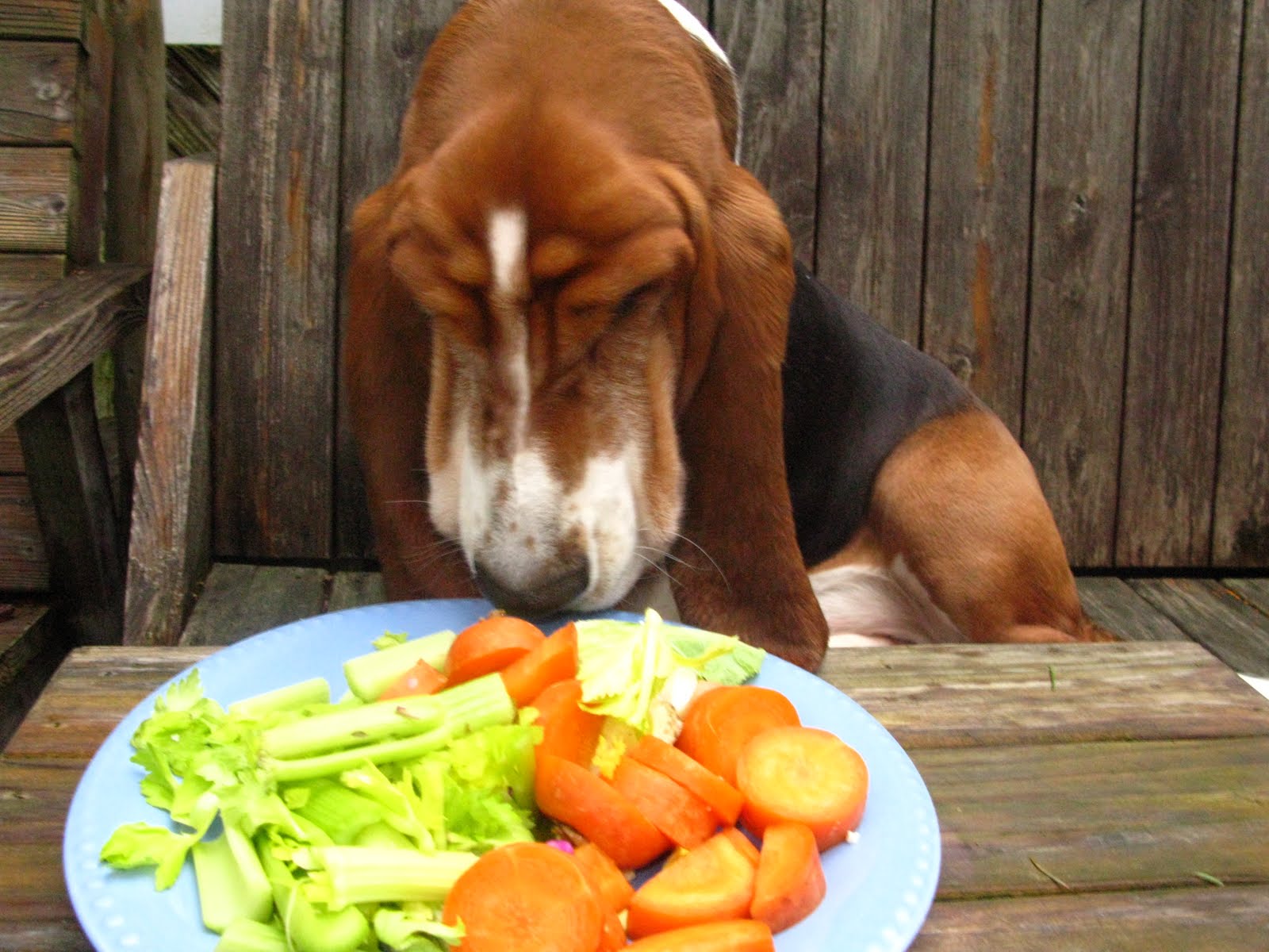 Food Connections The Soup Project Prison Food and Soup Stock