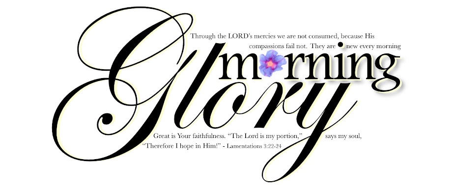 Morning Glory