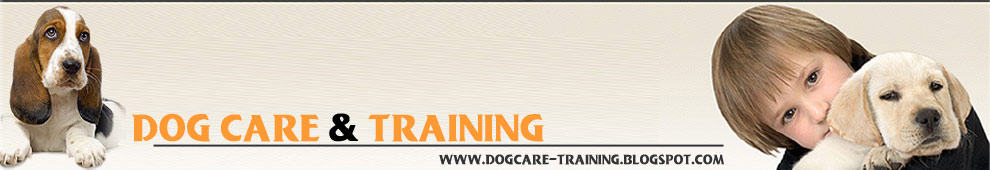 Dog Care Training