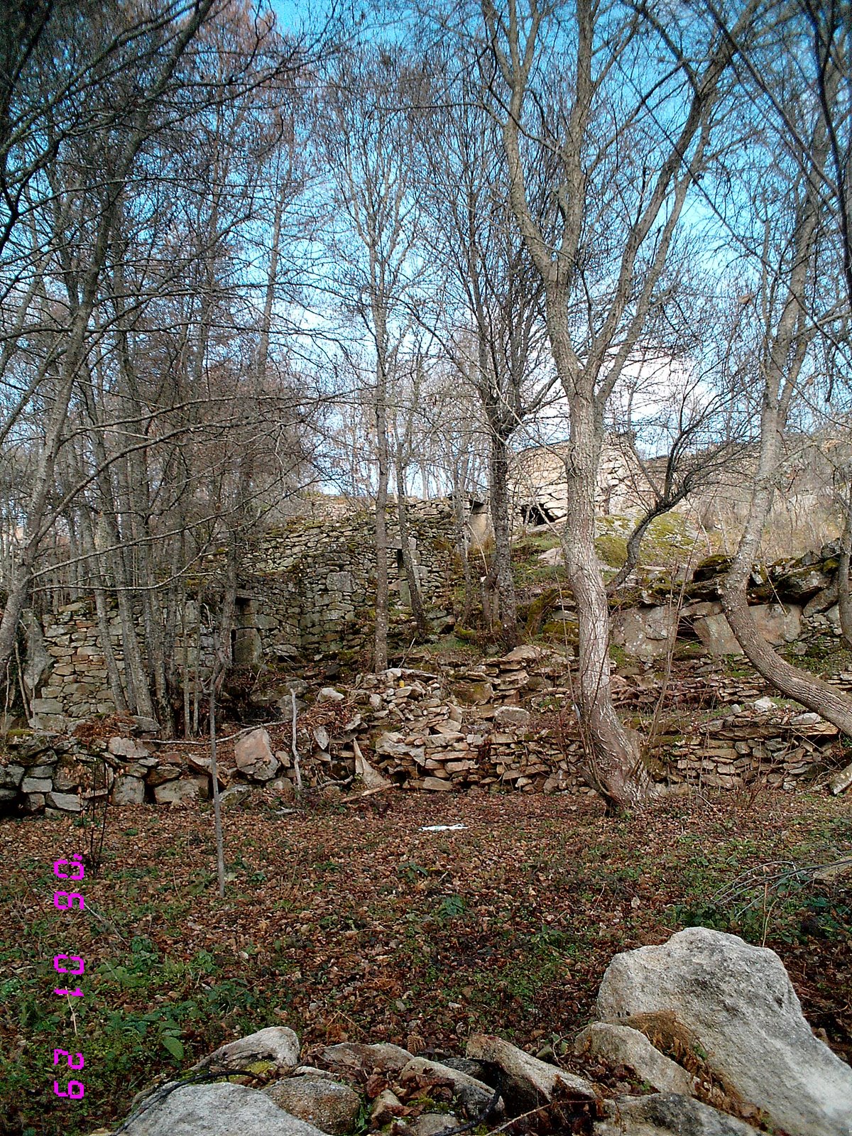 [IMG_0396.JPG]