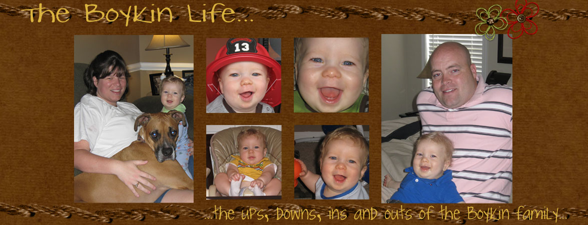 The Boykin Life