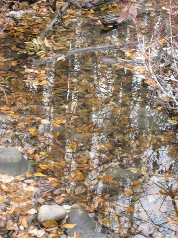 [IMG_7951+(Small).jpg]