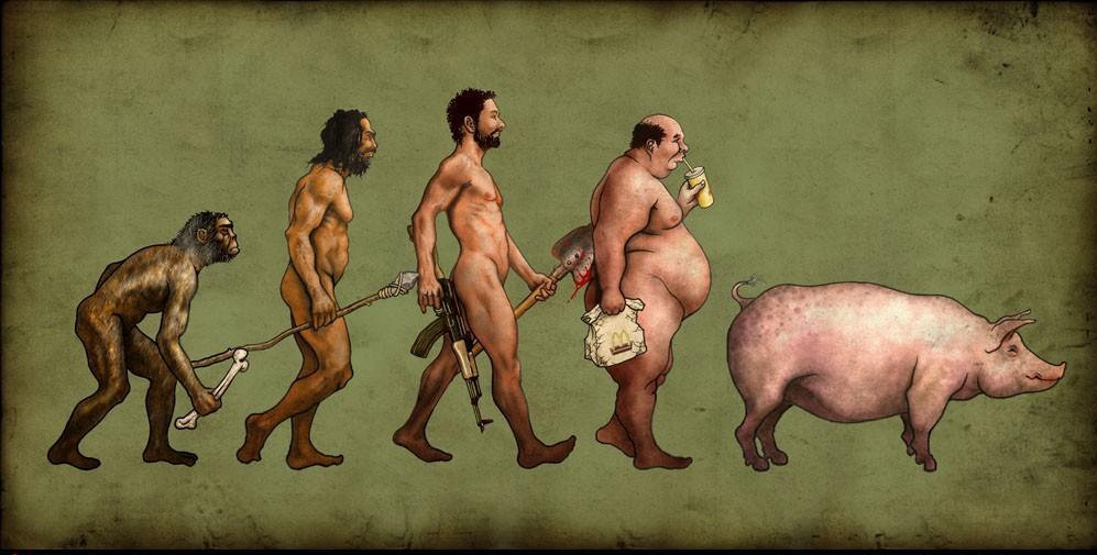 [evolucemu.jpg]