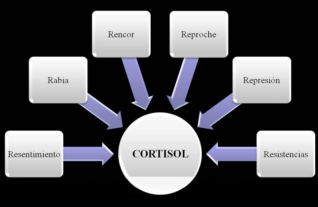 [Cortisol_1.JPG]