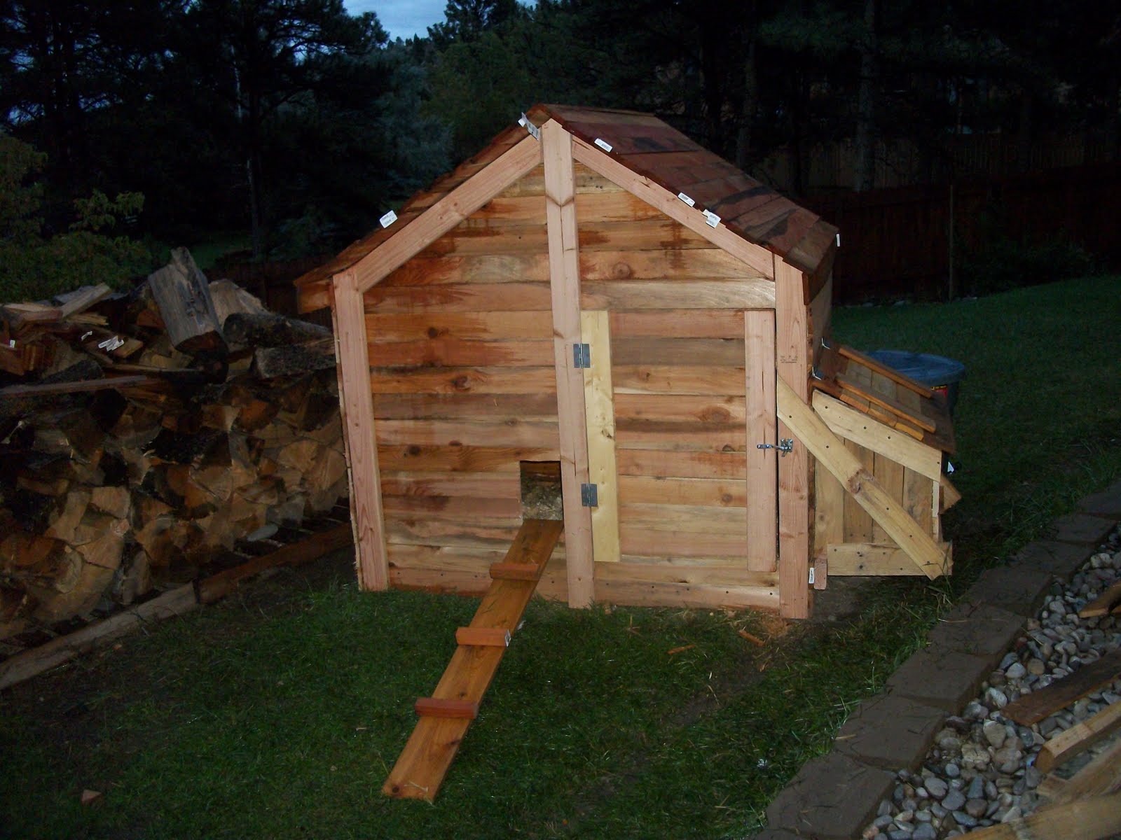 Montana Chicken Chick