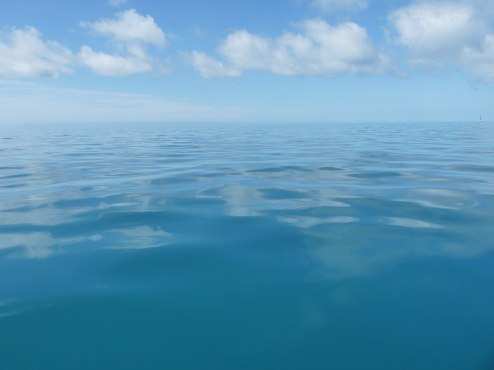 COGNAC SAILING: Fifi Island-delayed due to network coverage