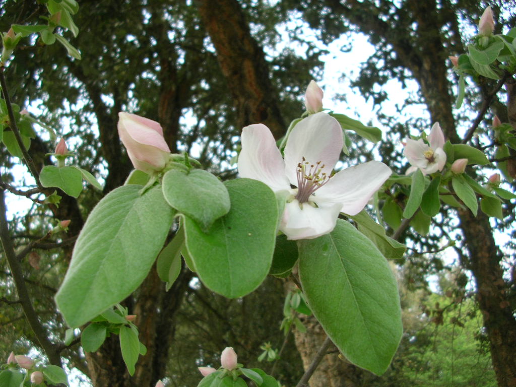 [20080316_3220.JPG]