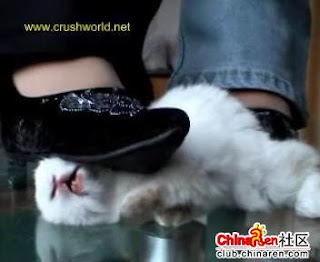 Вибратор Кролик Видео