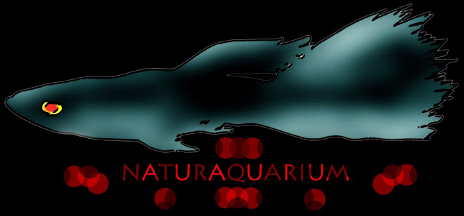 Naturaquarium