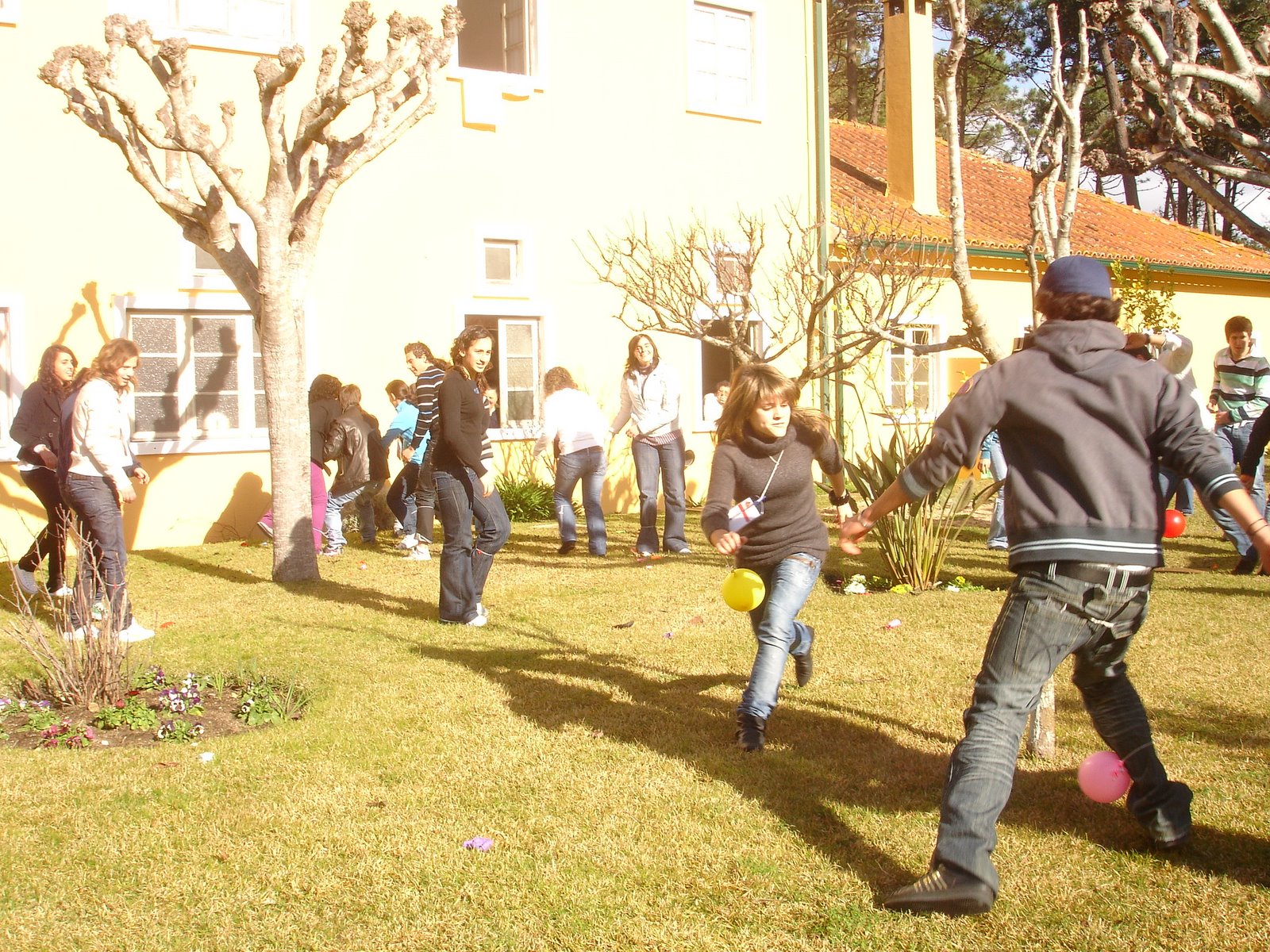 [DSC01817.JPG]