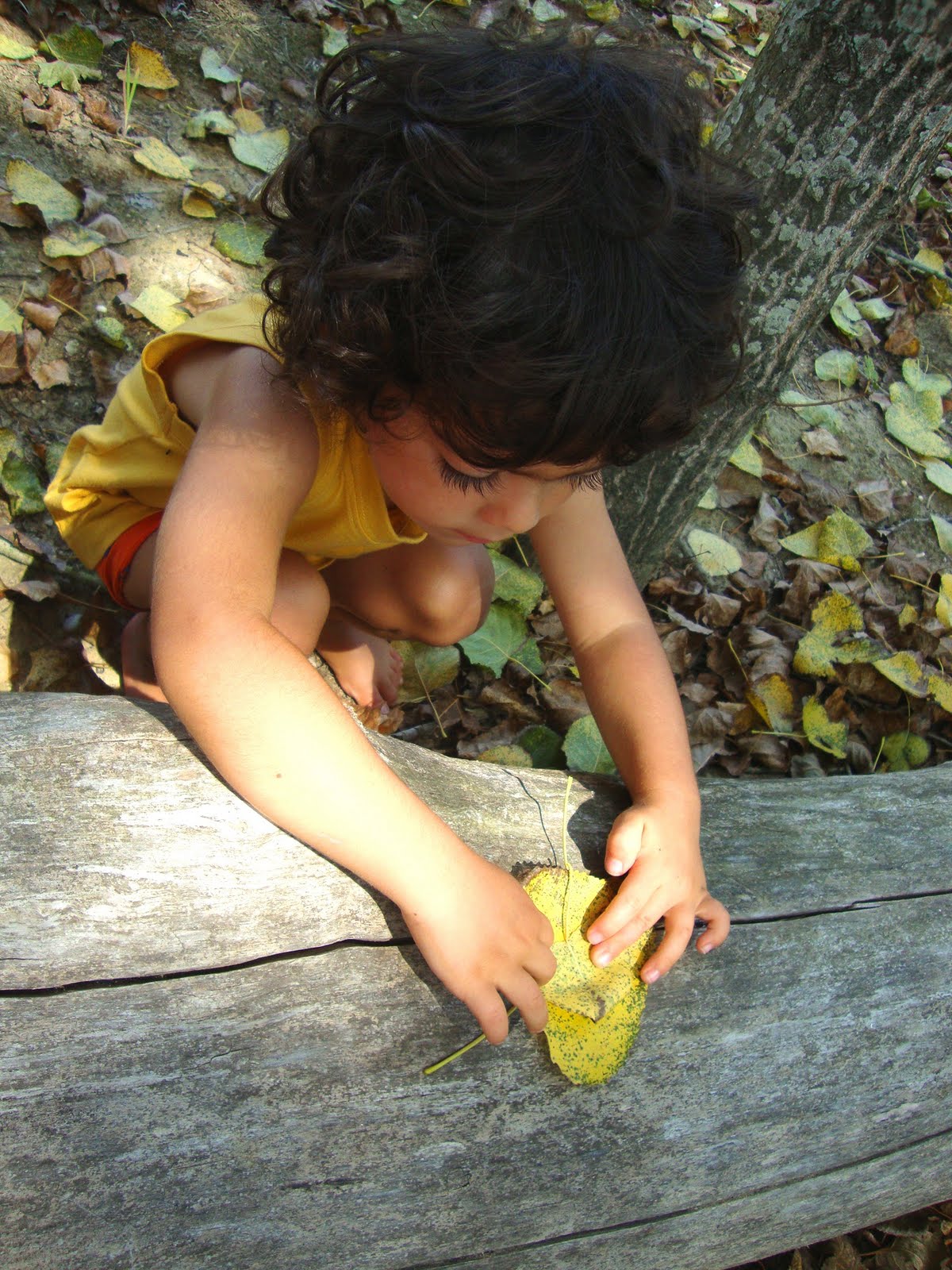 [DSC03329.JPG]