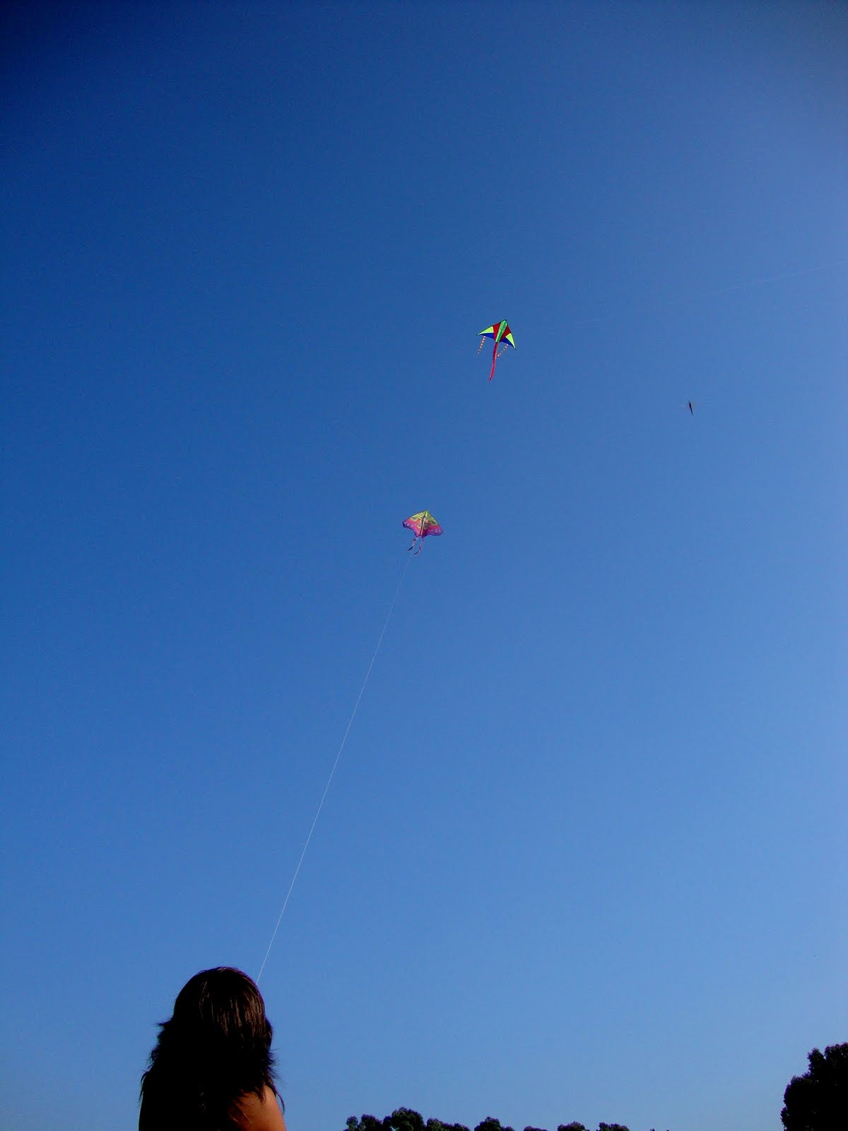 [DSC03435.JPG]