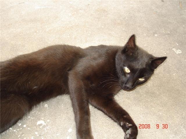 [blacky3.bmp]