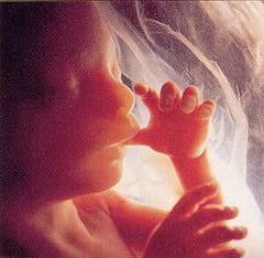 [e7577a3d37d1d5997bfcd0965c54c6ed.jpg]