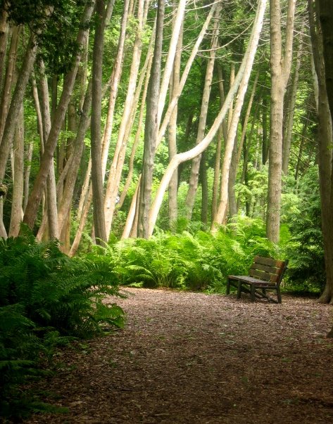 [UpNorthwMary7-04_111.jpg]