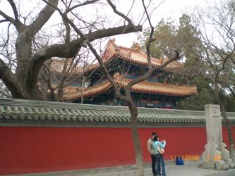 [CIMG5736_resize-744551.JPG]