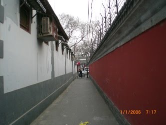 [CIMG5726_resize-766351.JPG]