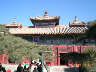 [CIMG5803_resize-774045.JPG]