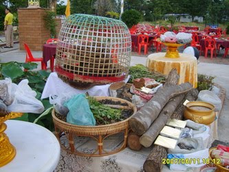 [S8001832_resize-796880.JPG]