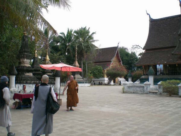 [=?windows-874?B?y8XHp77D0LrSpzEwNS5qcGd=?=-780360]