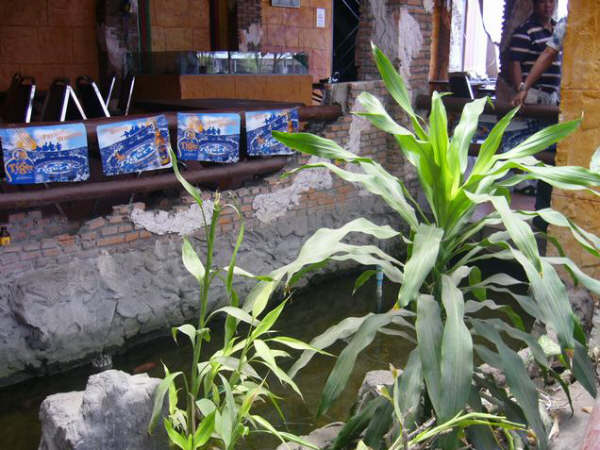 [=?windows-874?B?zsenqNjpwrrYw9XD0cHC7DQ5My5qcGd=?=-779927]