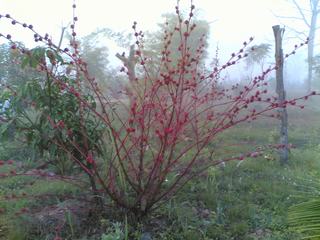 [=?windows-874?B?vti3uNLA1ODJoSAgodSoocPDwTI3MzIuanBn?=-753366]