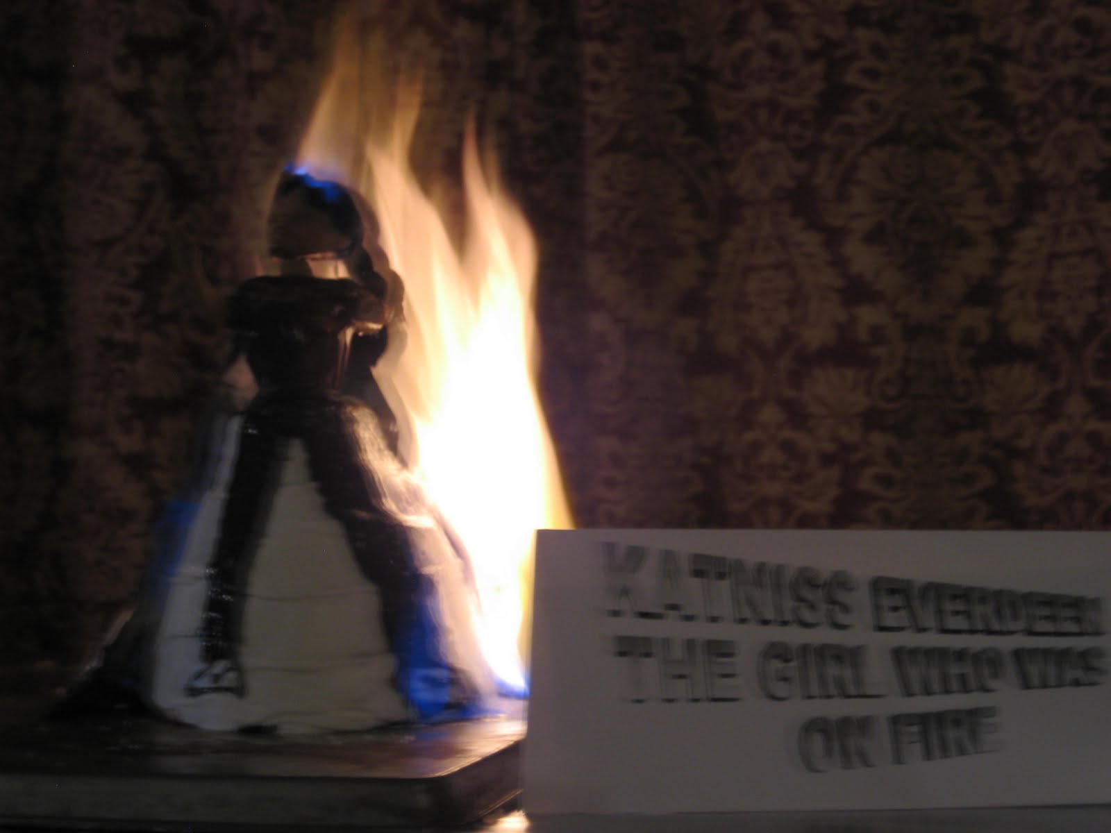 [Girl+on+Fire+4.JPG]