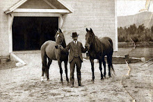 Miss Strike and Foal by Aldayone