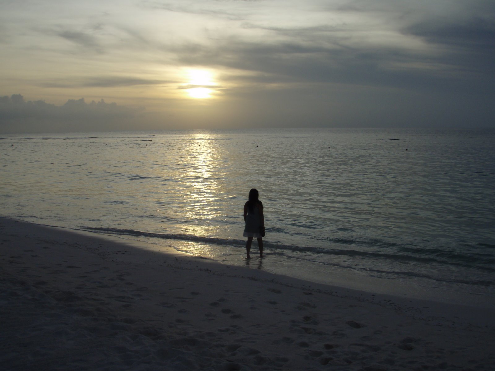[P8010006_2.JPG]