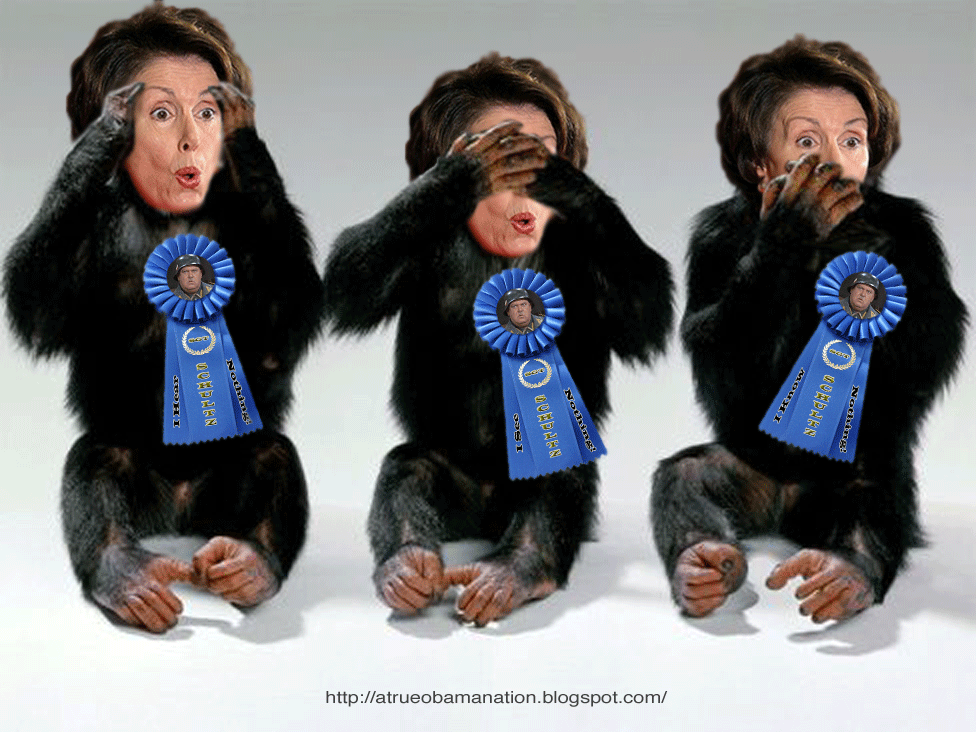 [Pelosi_Monkeys.gif]