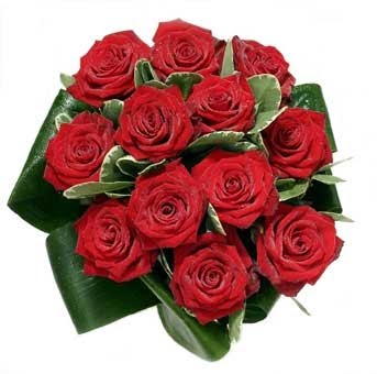 Gul sekilleri-flower pictures