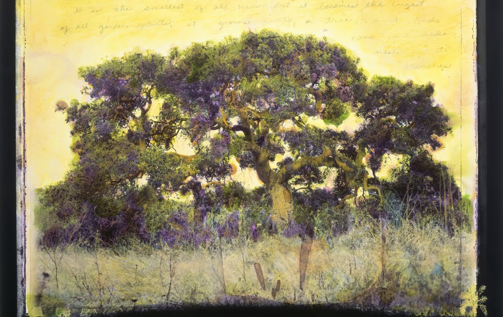 Visions mustard tree complete