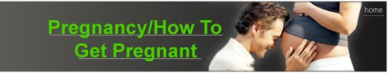 Pregnancy Online News.Com