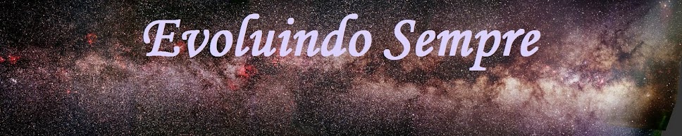 Evoluindo Sempre