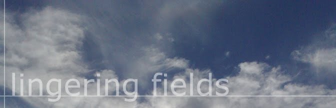 Lingering Fields