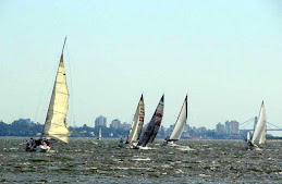 DOMANDO EL VIENTO