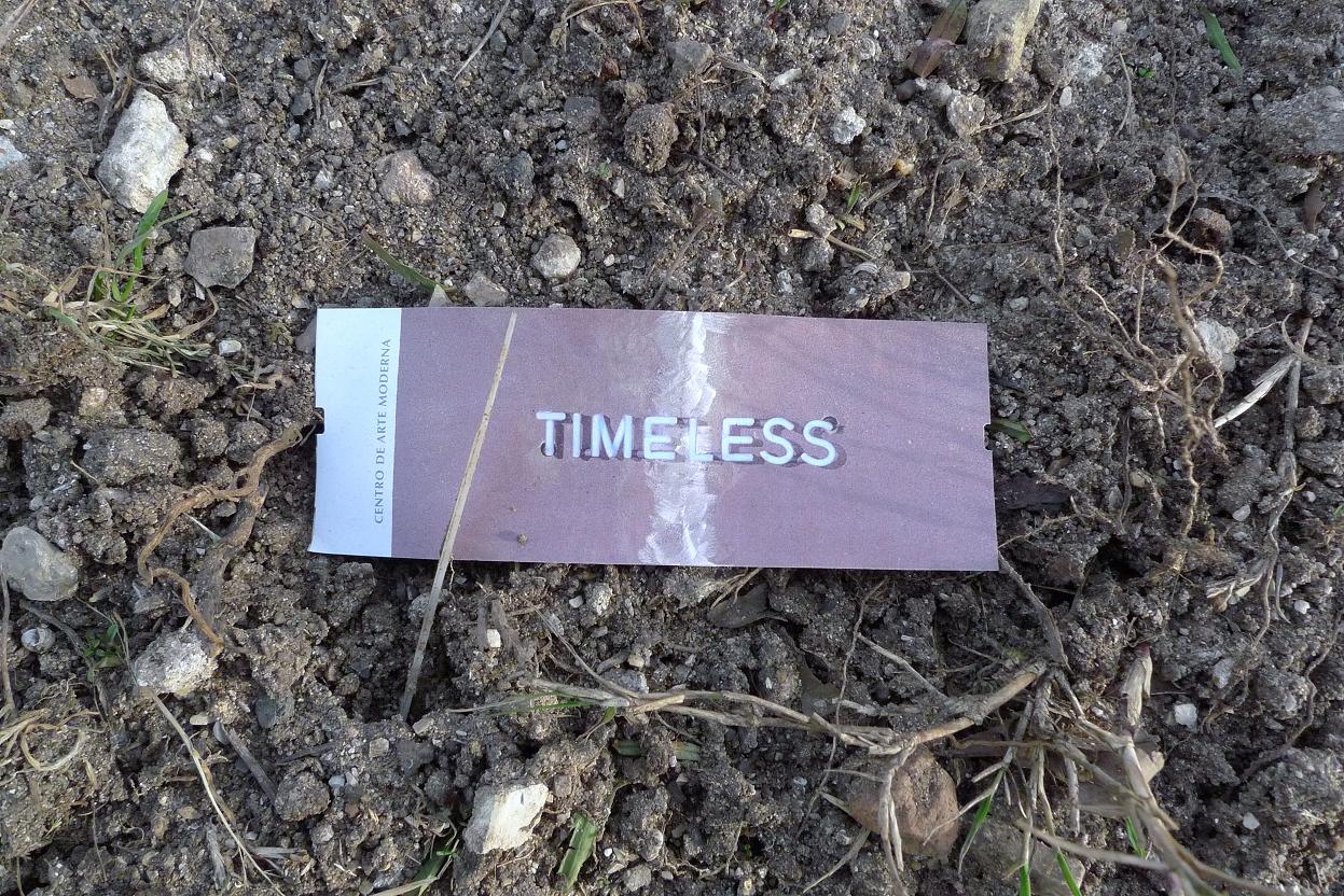 [Timeless.JPG]