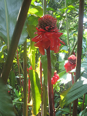 flores de Jungla, wildlifepark