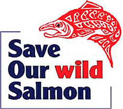 Save Our Salmon Coalition