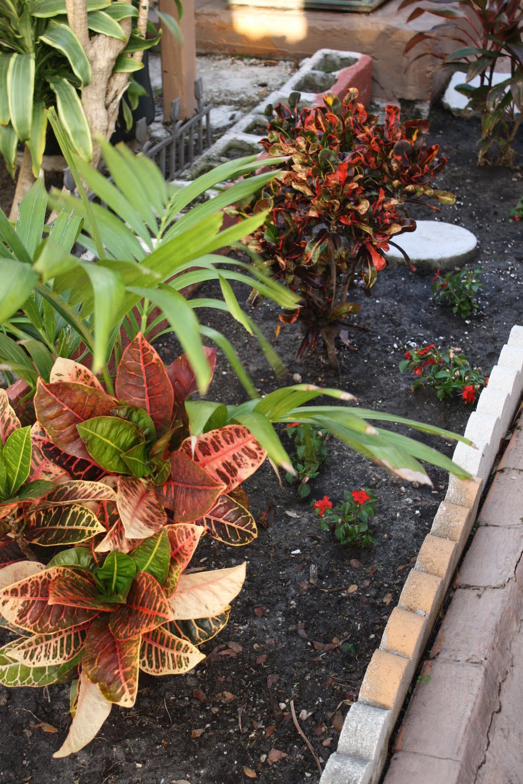 .: I know of a sunny garden...