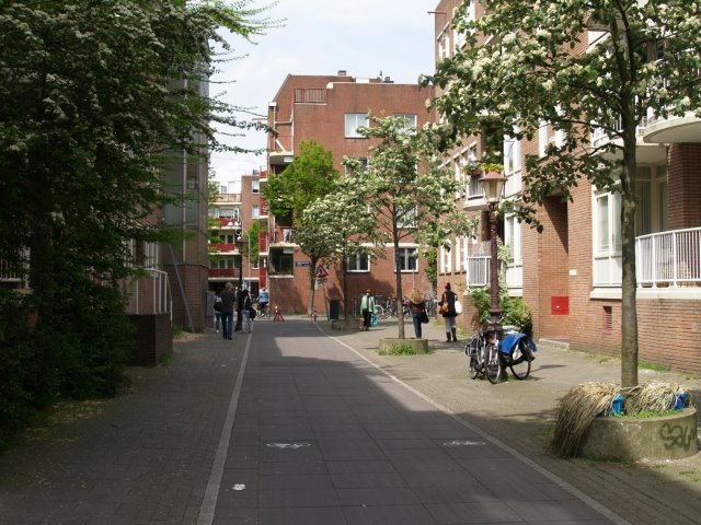[2009-05-09-15h47m41.jpg]