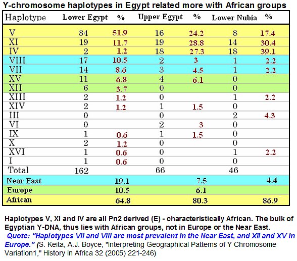 ychromoegypt1.jpg