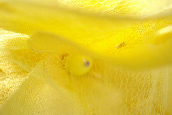 Amarillo