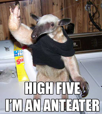 [Bild: pic-anteater-high5.jpg]