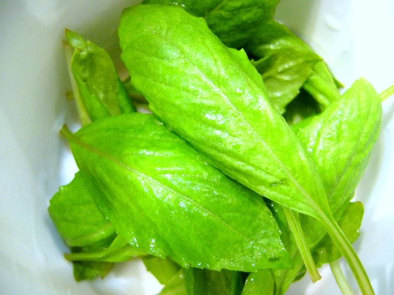 Open Kitchen Concept Cinnamon Basil Tea