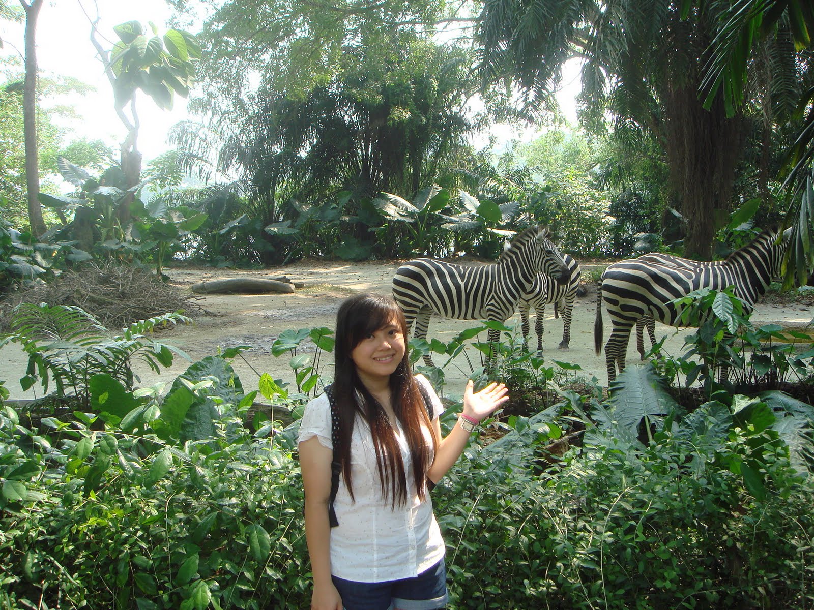 [DSC06206.JPG]