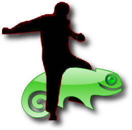 [ballmer-suse.png]