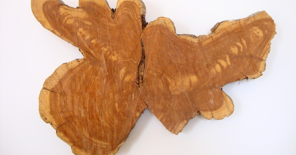 Nest Cedar Tree Wall Art