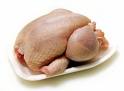 [raw+chicken.htm]