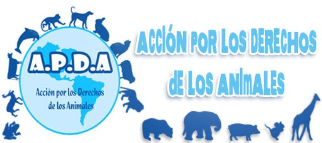 http://3.bp.blogspot.com/_73mkAzfBfNc/SfpgDEy2sOI/AAAAAAAABrc/WWrye22RR-s/S1600-R/cabecera-blog-2009_01.jpg